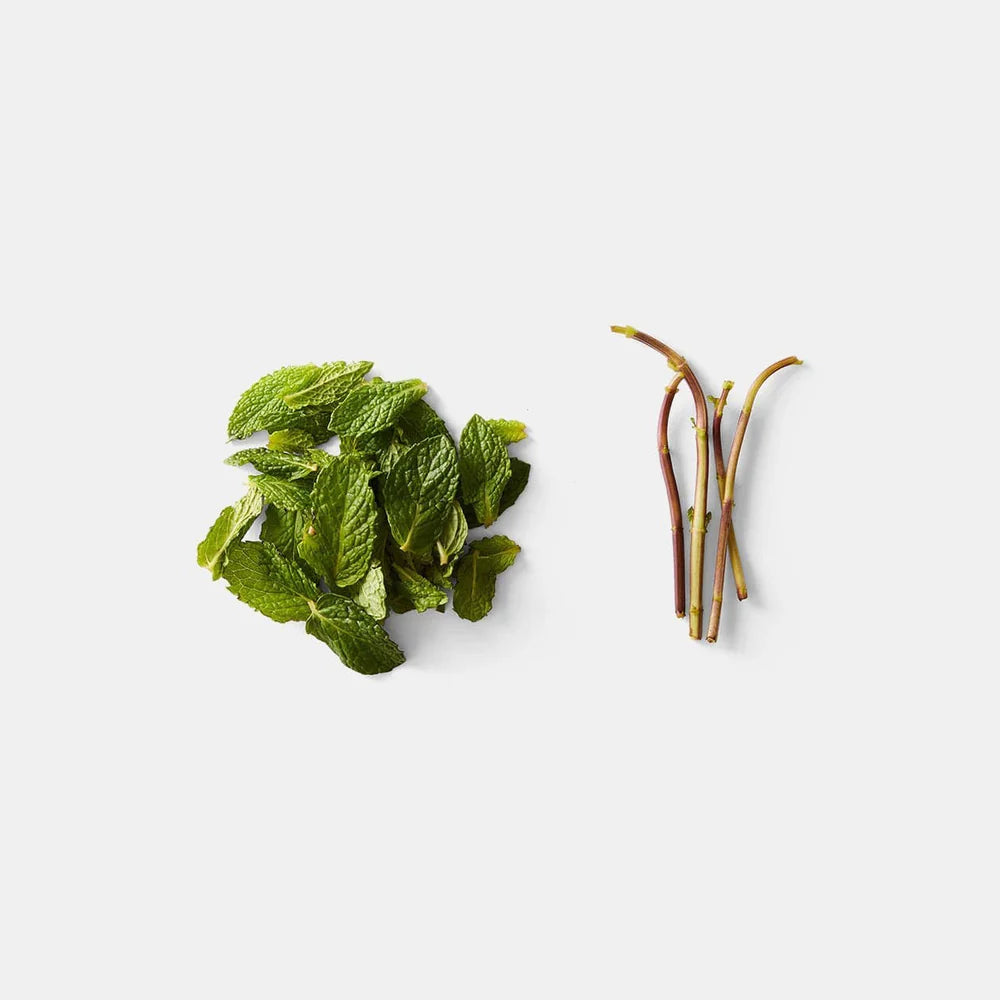 Looseleaf Plus Kale and Greens Stripper