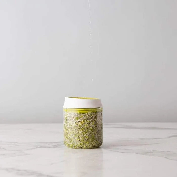 Countertop Sprouter