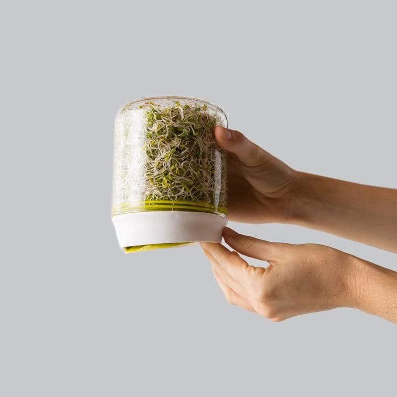 Countertop Sprouter