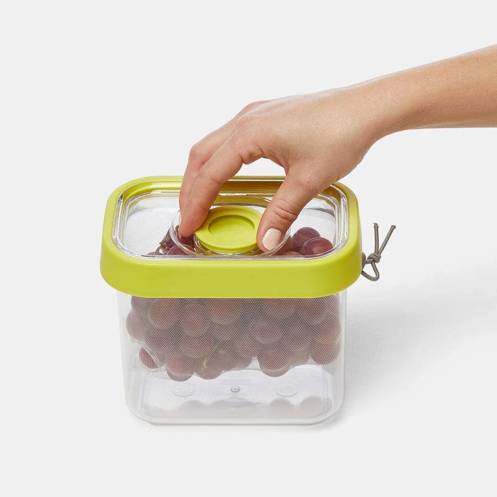 Fresh 'n Store Small Produce Storage Container