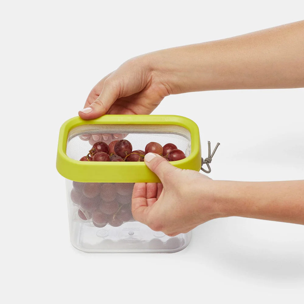 Fresh 'n Store Small Produce Storage Container