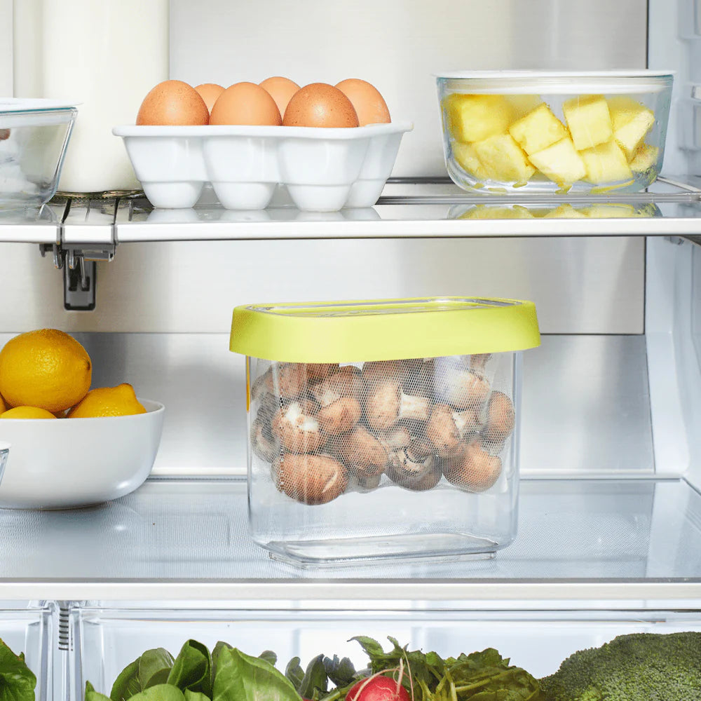Fresh 'n Store Small Produce Storage Container