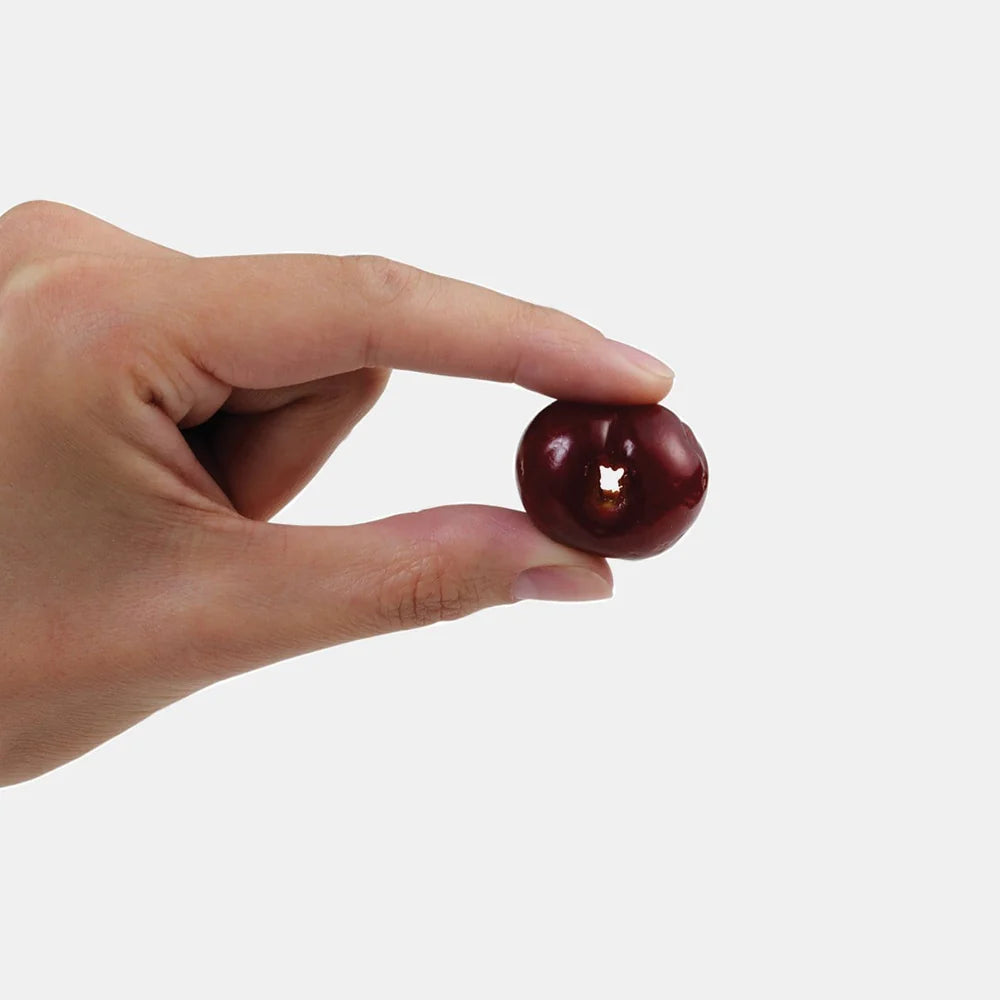 QuickPit Cherry Pitter